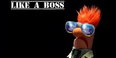 Image result for like a boss
