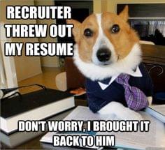 job seeker memes