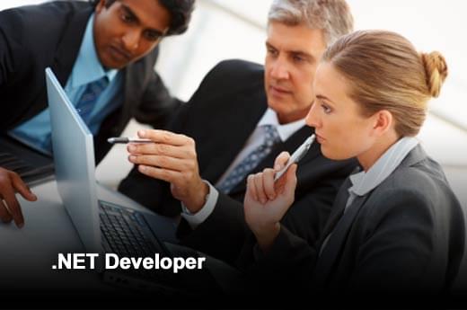 net dev