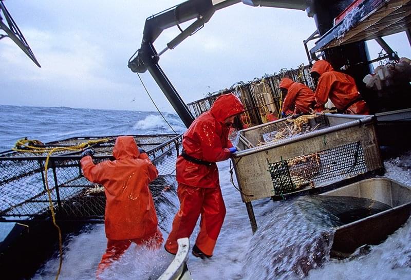 Alaskan Crab Fisherman