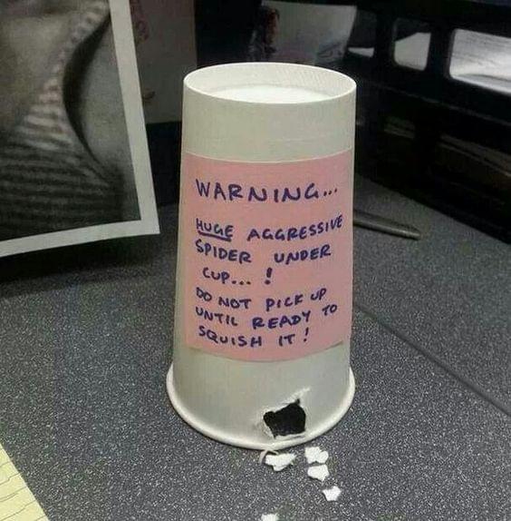 office-prank-spider