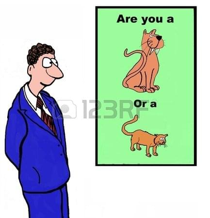 38910605-cartoon-of-businessman-are-you-a-lion-or-pussycat