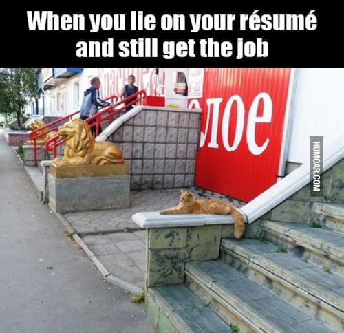 lying on your resumes