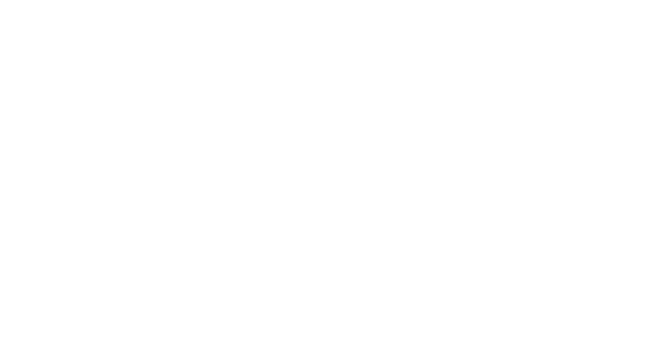 Logo 9