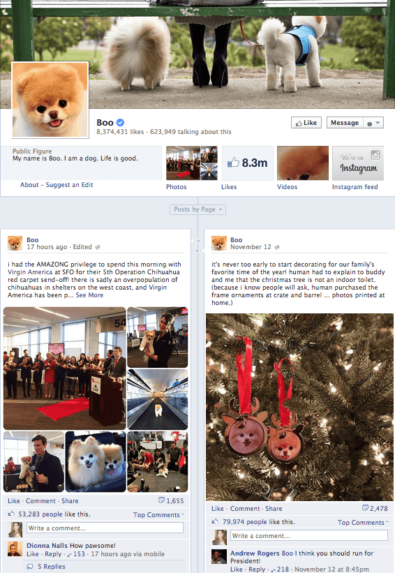 he posts facebook status updates once or twice every two days or so and usually brings us another delightful snapshot of where he s been what he s doing - top 5 most followed pets on instagram